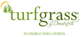 Turfgrass